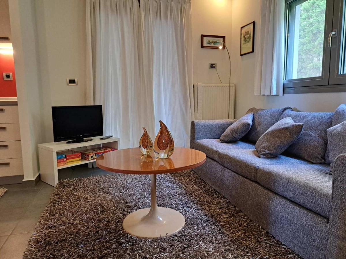 Flat With Garden In * Ioannina